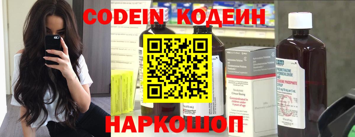 МЕФ Кингисепп