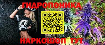 прущие грибы Конаково