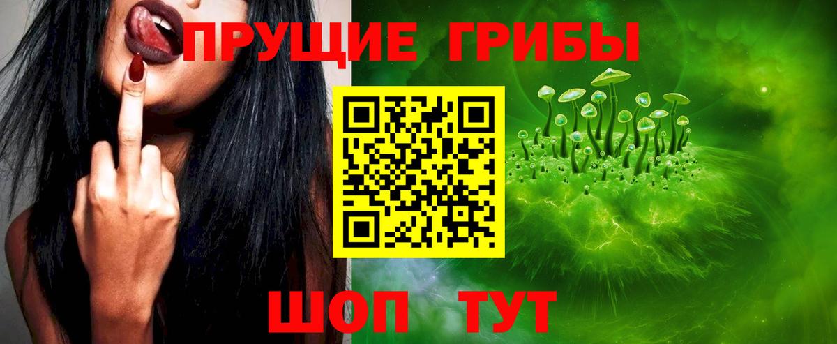 Кингисепп  Псилоцибиновые грибы Magic Shrooms  Вход с VPN 